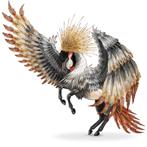 ptičji potepuški konj balearica