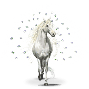 ptičji potepuški konj pavos